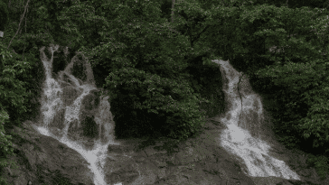 SELANGOR TRAVEL
